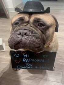 Poster for Other video from Big Meech