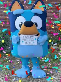 Poster for Birthday video from BlueHeeler