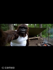 Poster for Intro video video from Bigfoot Adventures