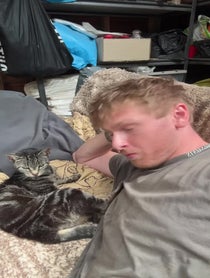 Poster for Other video from Harry And Lippy