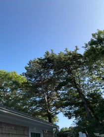 Poster for Birthday video from Claybourne Elder