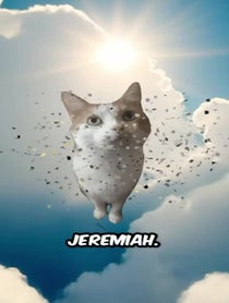 Poster for Birthday video from chillcatguy