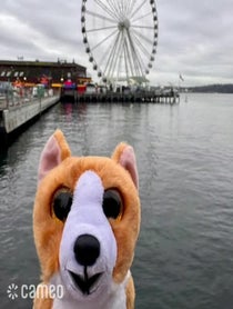 Poster for Intro video video from Adventures with Georgie