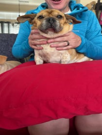 Poster for Birthday video from Peanut