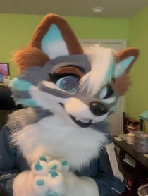 Poster for Roast video from Zephyri Wolf