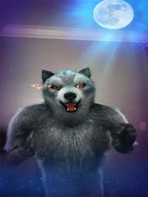 Poster for Other video from WLF ★