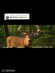 Poster for Intro video video from Trailcam Confessions