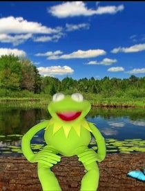 Poster for Other video from Kermitthepuppet