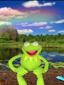 Poster for Other video from Kermitthepuppet