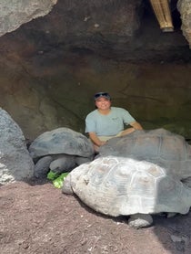 Poster for Birthday video from Galàpagos Tortoise at Houston Zoo