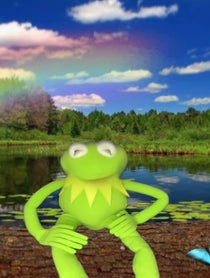 Poster for Other video from Kermitthepuppet