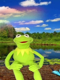 Poster for Other video from Kermitthepuppet