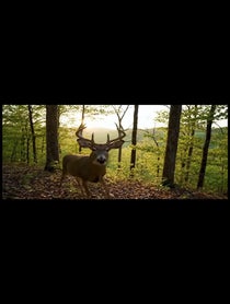 Poster for Roast video from Trailcam Confessions