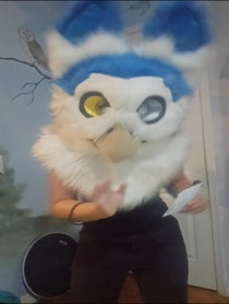 Poster for Other video from Primroseowlfox