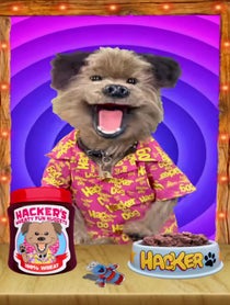 Poster for Birthday video from Puppet pals by Phil Fletcher