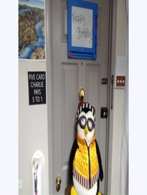 Poster for Intro video video from Your favorite penguin pal