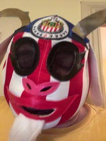 Poster for Other video from The Masked G.O.A.T.