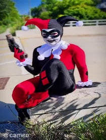 Poster for Intro video video from Harley Quinn