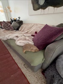 Poster for Birthday video from Poppy_the_Prairie_Dog