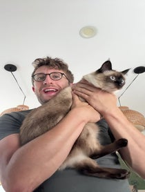 Poster for Birthday video from Merv The Cat