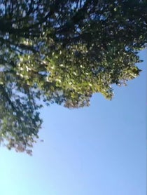 Poster for Advice video from Ladiesmanjohns69 - Tony Johns