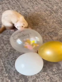 Poster for Birthday video from Tuna Lynn