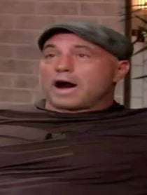 Poster for Roast video from Joe Rogan Parody