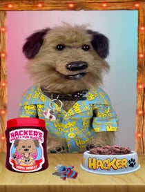 Poster for Birthday video from Puppet pals by Phil Fletcher