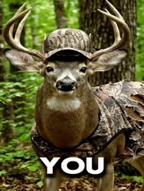 Poster for Roast video from Bucknasty