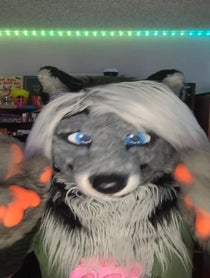 Poster for Birthday video from Cassidy Civet