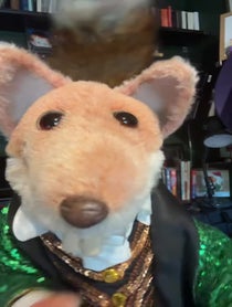 Poster for Birthday video from Basil Brush