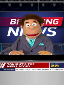Poster for Other video from All Felt No Filter Puppets