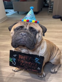 Poster for Birthday video from Big Meech