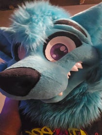 Poster for Birthday video from Brightwater Wolf