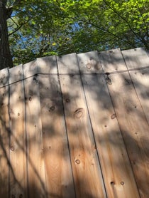 Poster for Birthday video from The Pickle Priest