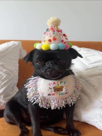 Poster for Birthday video from TheFizzyCola