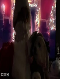 Poster for Intro video video from Santa