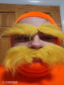 Poster for Intro video video from Taylor The Lorax