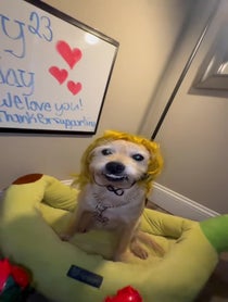 Poster for Birthday video from Dixie