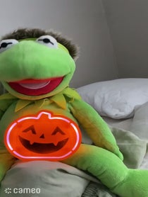 Poster for Intro video video from Kermit