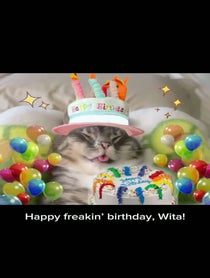Poster for Birthday video from Rigby Cat