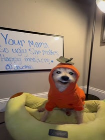 Poster for Roast video from Dixie