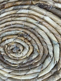 Poster for Birthday video from Anneliese van der Pol