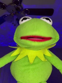 Poster for Birthday video from Kermit Impressionist