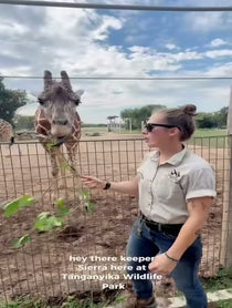 Poster for Birthday video from Keeper Sierra