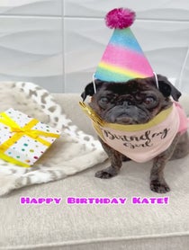 Poster for Birthday video from ClemJuno