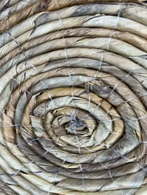 Poster for Birthday video from Anneliese van der Pol