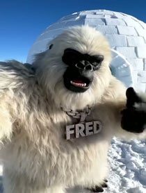 Poster for Pep Talk video from Yeti Boy Fred