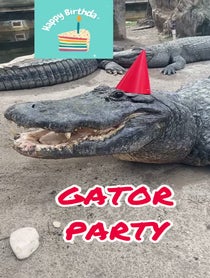 Poster for Birthday video from Florida Man Santa
