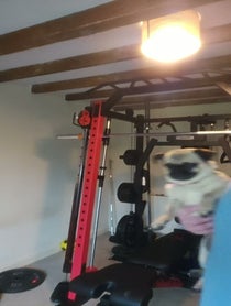 Poster for Other video from Benedikt Magnusson